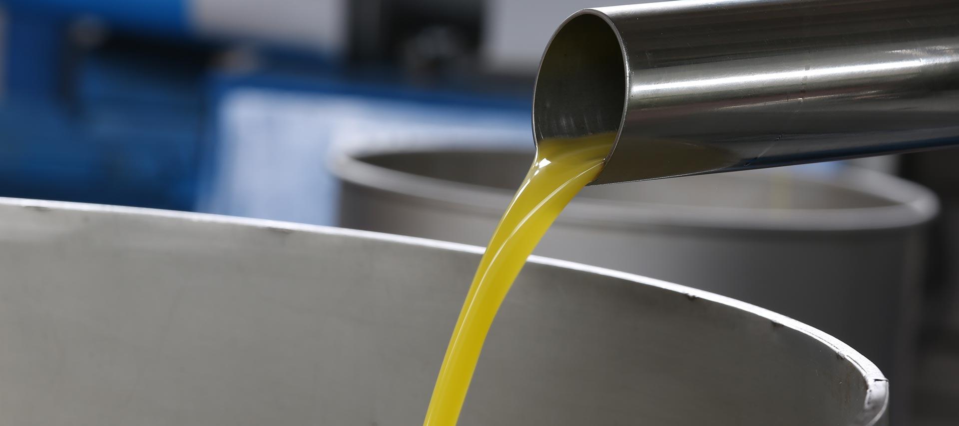 raccolta olive spremitura a freddo dell'olio