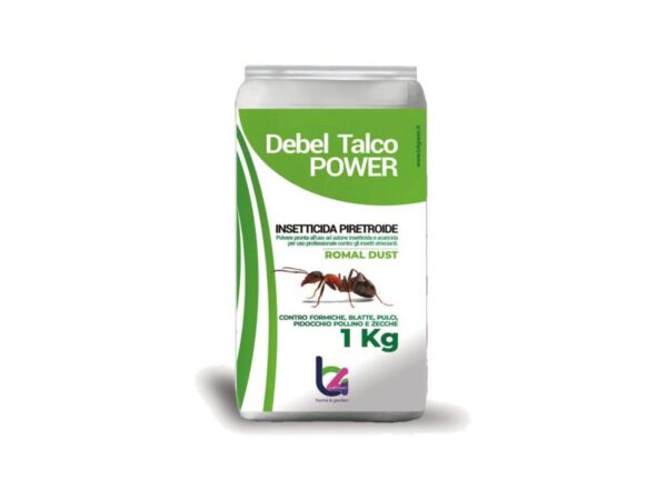 Insetticida in polvere per formiche DEBEL TALCO POWER 1Kg