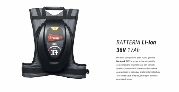 Abbacchiatore olive a batteria ZENIT 36V BRUMI con STEP-UP 12/36V