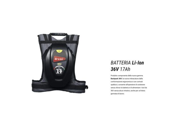 Abbacchiatore olive a batteria ZENIT 36V BRUMI con STEP-UP 12/36V
