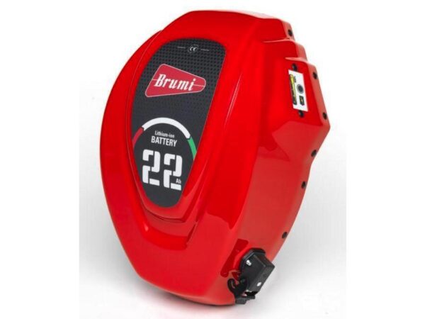 Batteria per abbacchiatore BRUMI con zaino ergonomico 12V 22Ah