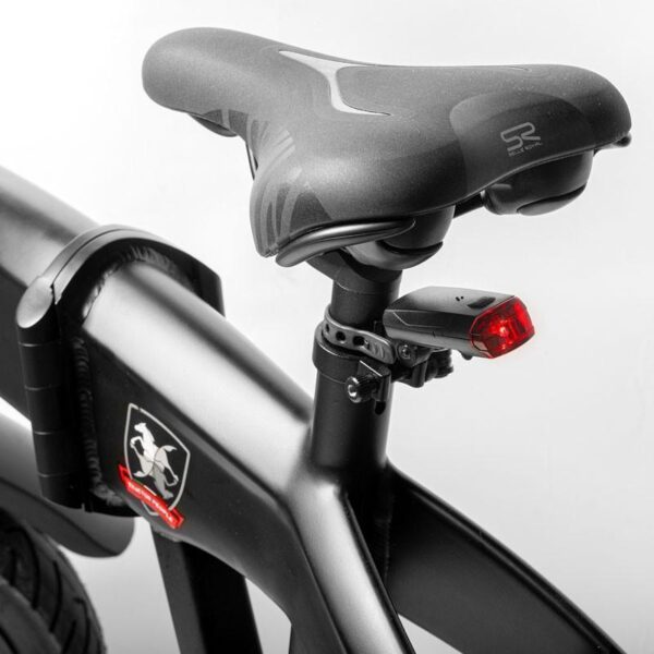 Bici elettrica icone Antonio Carraro con motore Hengtai 250W Brushless
