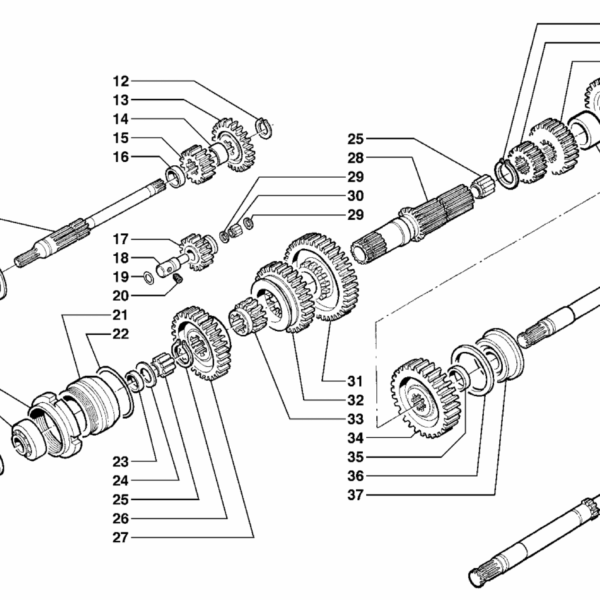 B03-0020 ESPLOSO RUOTISMI CAMBIO POSTERIORE