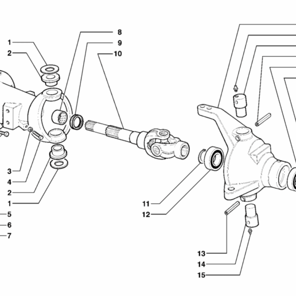 B04-0010 PONTE ANTERIORE TIGRONE