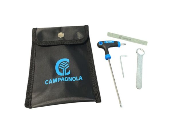 Forbice da potatura a batteria Campagnola Nova 40 con batteria 2,5 Ah