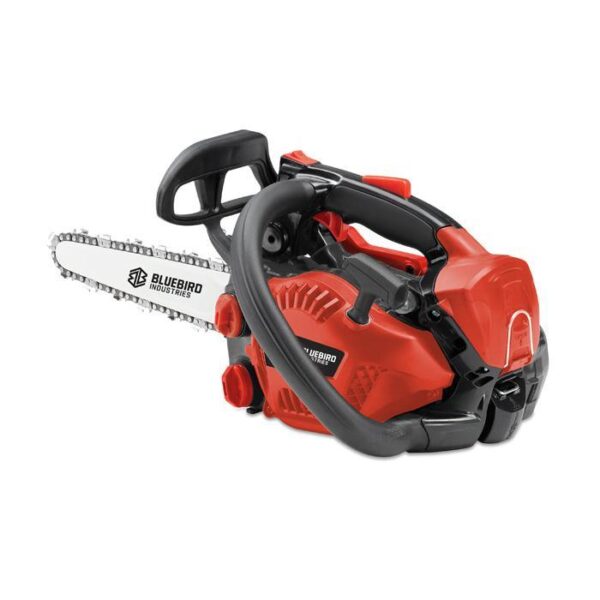 Motosega Blue Bird CSP270TC per potatura barra carving 25cm