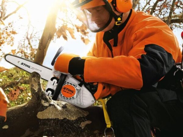 Motosega STIHL per potatura MS 151 TC-E con spranga da 25 cm