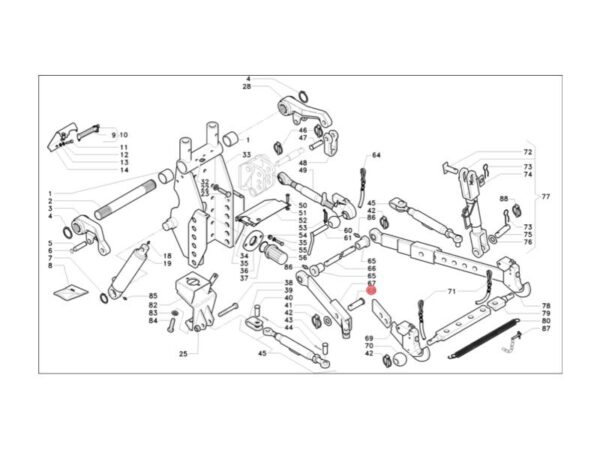 Perno attacco attrezzi diametro 24mm Antonio Carraro 32021815