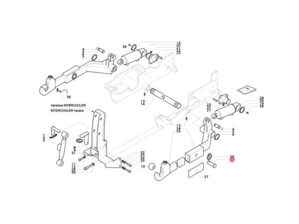 Perno attacco attrezzi diametro 24mm Antonio Carraro 32021815