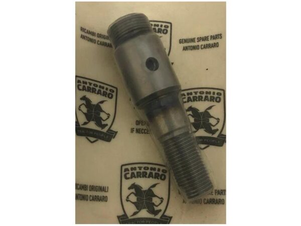 Perno sterzo per trattori Antonio Carraro serie 21 e ERGIT