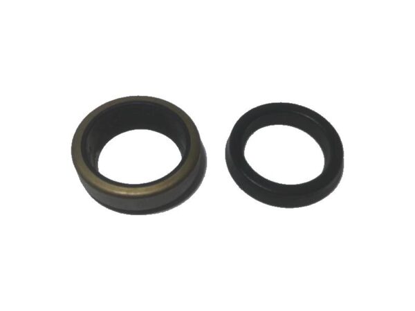 Serie guarnizioni cilindretto frizione secondario ERGIT