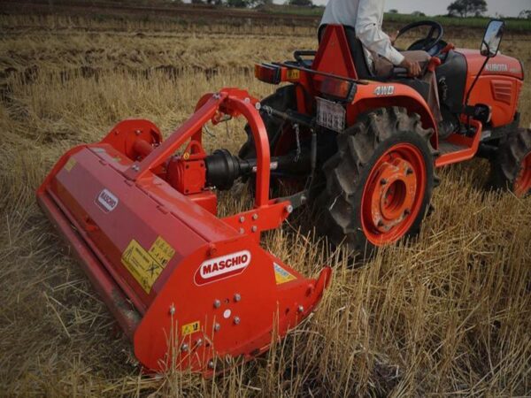 Barbi Maschio trincia con spostamento laterale