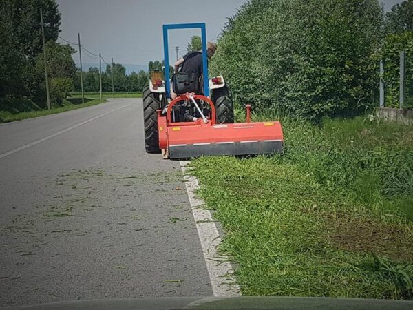 Barbi Maschio trincia con spostamento laterale