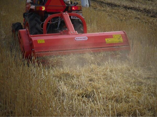 Barbi Maschio trincia con spostamento laterale