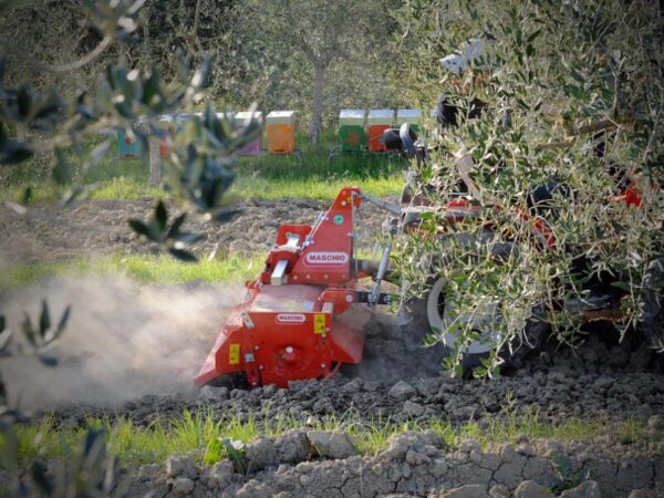 Fresa maschio modello W zappatrice leggera con spostamento laterale manuale